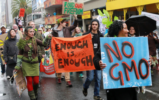 Anti-GMO protestors. IMAGE: Getty Images